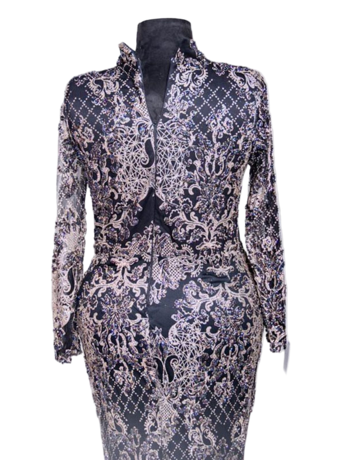 Beads and Glitters Embellished Long Sleeve Dress