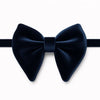 🎁 Big Velvet Bow Ties (Discount)