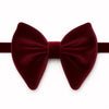 🎁 Big Velvet Bow Ties (Discount)