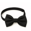 Bow Tie