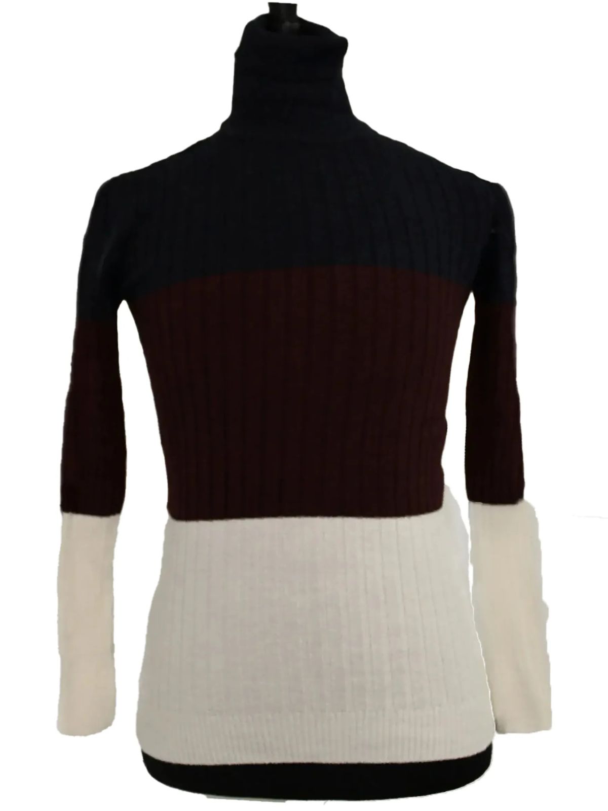 Multicolor Turtleneck Sweater