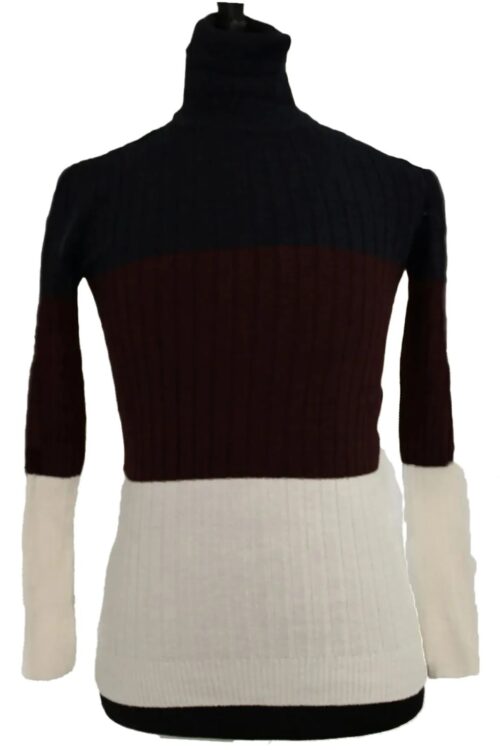 Multicolor Turtleneck Sweater